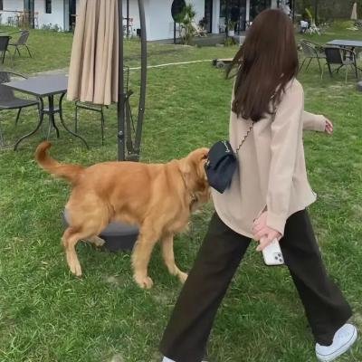 疯狂时代